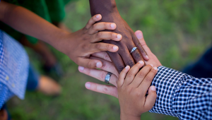 Hands of a diverse blended family stacked together in a show of unity and support.